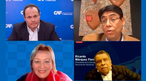Yolanda Torriani: “Hay que dar facilidades a las empresas”