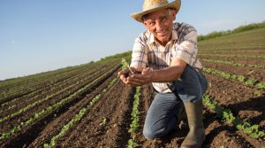 Más recursos y flexibilidad tributaria para pequeños agricultores