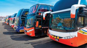 Transporte interprovincial: cuesta arrancar