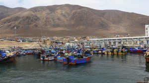 A la espera de acciones para potenciar la pesca peruana