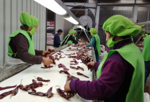 Exportaciones peruanas de páprika sumaron US$ 72 millones a noviembre del 2020