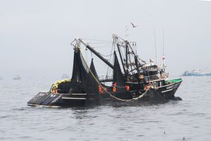 ¿Cómo evolucionarán las exportaciones pesqueras en el 2021?