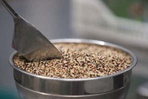 Perú se consolida como primer productor y exportador de quinua en el mundo