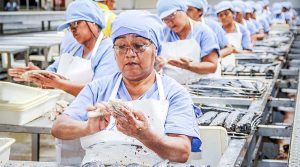 Incoterms más usados en las importaciones peruanas