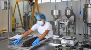 Creación de empleo formal y aumentos salariales se frenarán sin mayor inversión privada