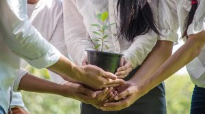 Empresas ecoeficientes