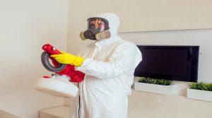 PUNTO ROJO FUMIGACIONES Logró Certificación a nivel nacional