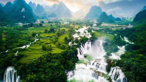 China: hallan un bosque gigante a 200 metros de profundidad