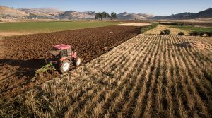 El sector agropecuario peruano no pierde impulso