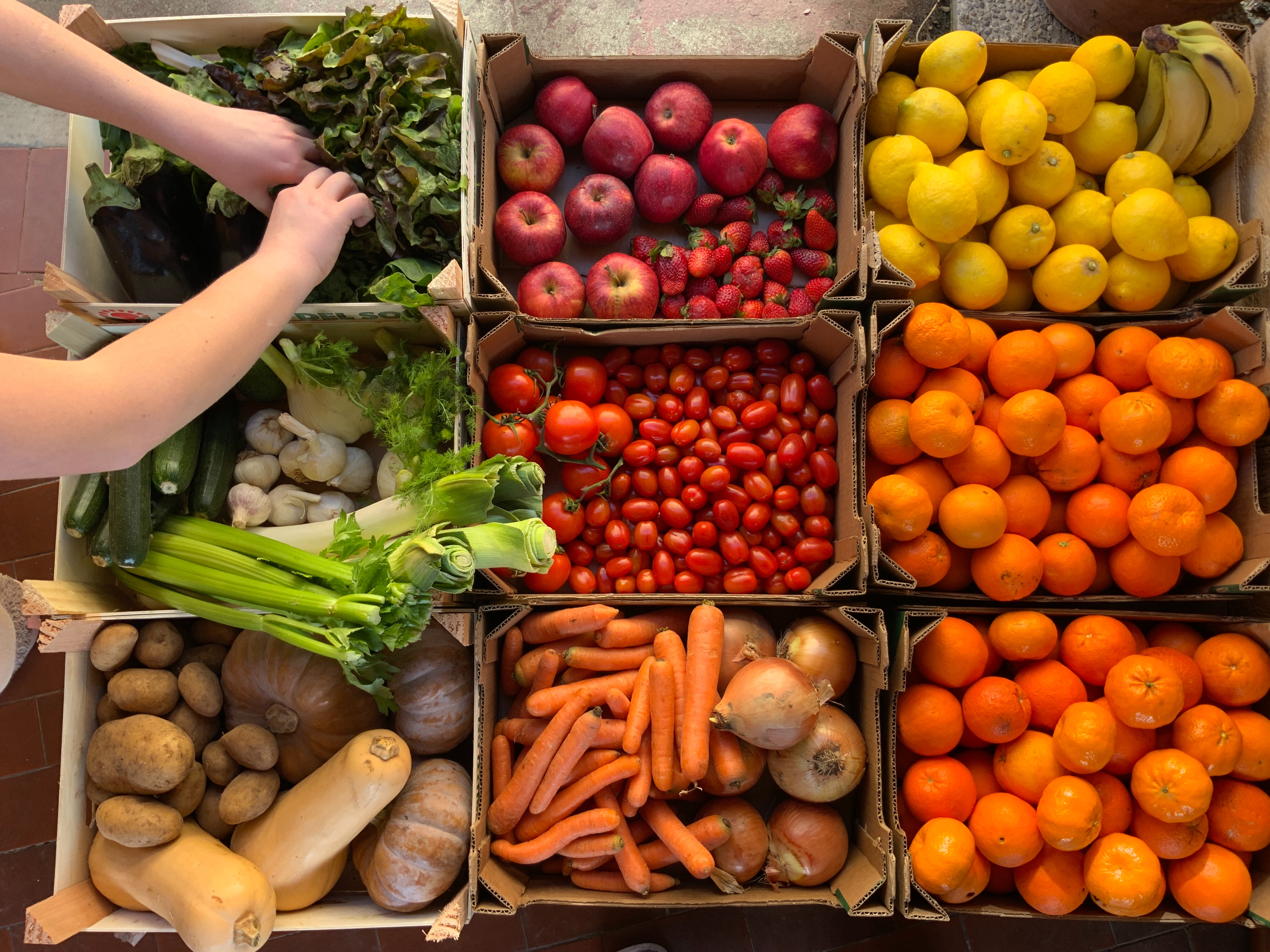 Correcta alimentación en el verano: 3 recomendaciones para llevar una alimentación saludable