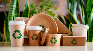 Importación de envases biodegradables aumentó exponencialmente en el 2022
