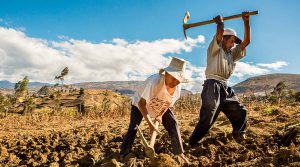 Aprueban dictamen para eliminar régimen laboral de Ley de Promoción De Exportaciones No Tradicionales