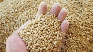 Exportación de comida para animales creció 10% en últimos cuatro años