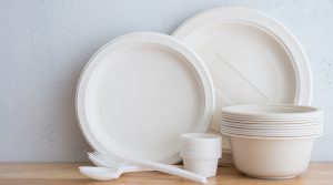 Importación de envases y recipientes biodegradables creció 176% en 2022, impulsado por ley de plásticos
