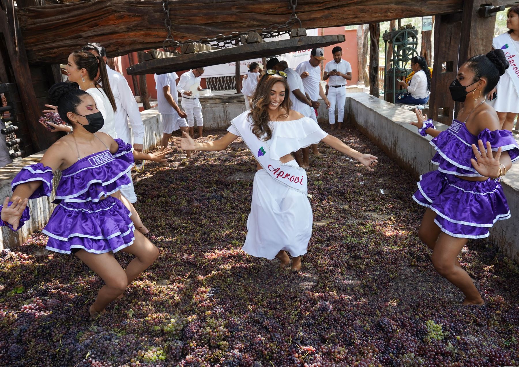 Festival de la Vendimia: 4 razones para no perdérsela