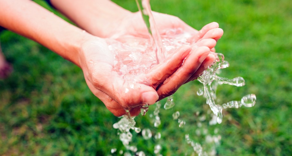 El agua: un tesoro para el planeta