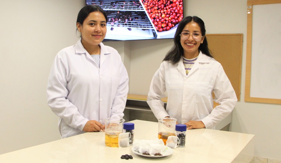 Estudiantes del Campus UTP Chiclayo elaboran té filtrante a base de cáscara de café