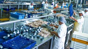 Sector Manufactura registró cinco meses de caída
