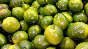 Exportaciones de limón cayeron 27 % en julio acumulando tres meses de resultados negativos