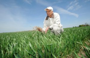 Campesinos peruanos podrán acceder a clases gratuitas con nobel de agricultura, Rattan Lal