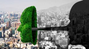 ¿Cómo evitar el greenwashing en tu empresa? Sin morir en el intento
