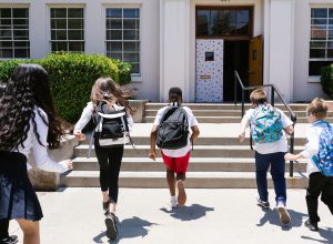 ¿Cuáles son las obligaciones de las instituciones educativas en los procesos de matrícula?