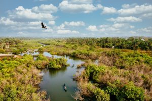 Día Mundial de los Humedales: ¿Por qué proteger y conservar estos espacios naturales?