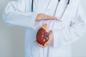 Piedras en los riñones: ¿Por qué se forman y cómo se tratan?
