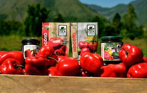 Asociado CCL: Conoce a Oxamanía, lo mejor de los frutos nativos de Oxapampa a tu mesa