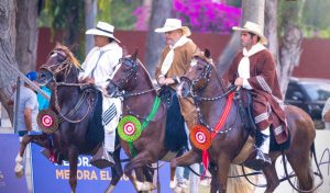 LXXVII Concurso Nacional del Caballo Peruano de Paso se realizará del 14 al 21 de abril