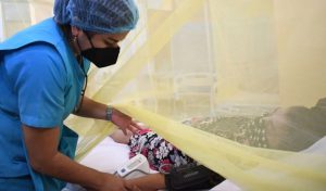 Dengue: tratamiento, síntomas y prevención