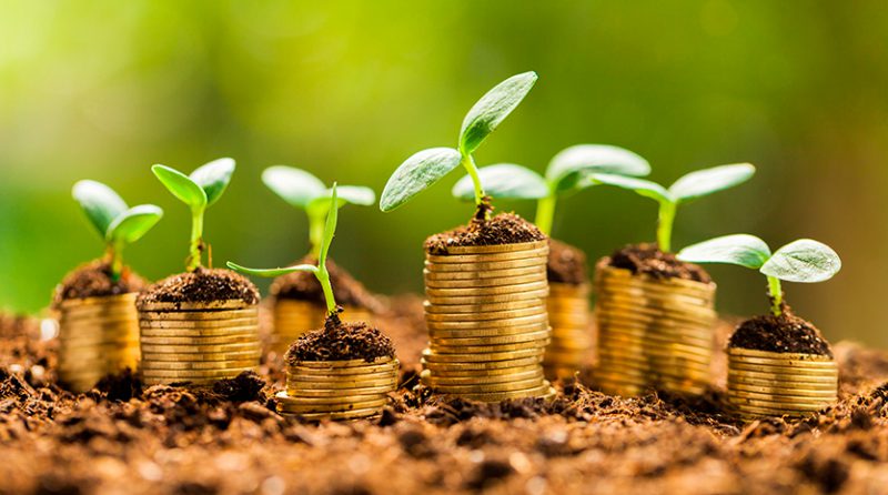 Más de 20 millones de euros serán destinados a impulsar proyectos de economía verde en América Latina