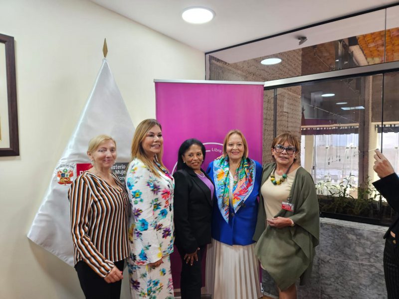 Acciones de la Comisión de Desarrollo de la Mujer Empresaria