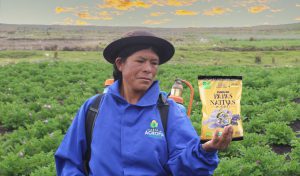 Productos innovadores que tienen como insumo principal a la papa