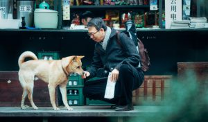 “Hachiko 2”, la historia del perro más fiel del mundo, llega a los cines del Perú