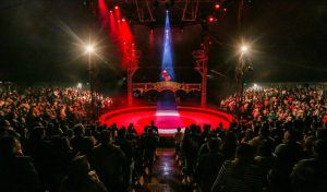 Nueva temporada de La Tarumba llegará al interior del Perú