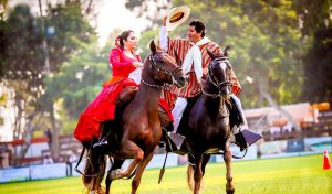 La Gran Noche de Caballo Peruano de Paso se realizará este 22 de junio