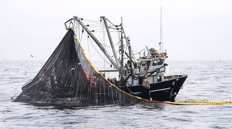Richard Inurritegui: “Sector pesca se recuperaría en 2024, tras dos años de caída”