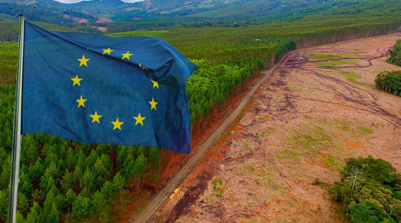 Desafíos de la norma europea sobre deforestación para los envíos peruanos