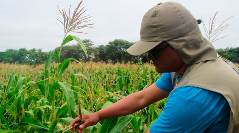 Importaciones de insumos agrícolas se recuperarían este año a nivel de 2022