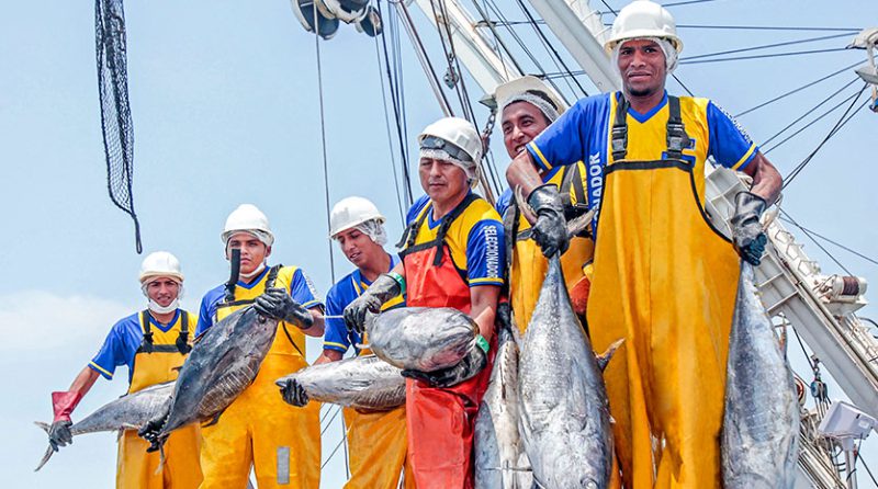 Exportaciones pesqueras no tradicionales registran pérdidas significativas