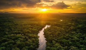 Natura crea una alianza con sus proveedores para acelerar las prácticas regenerativas