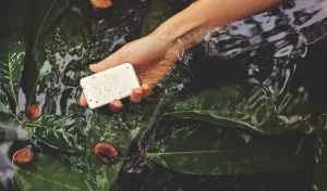 Natura avanza con la emisión de obligaciones sustentables vinculadas a bioactivos amazónicos