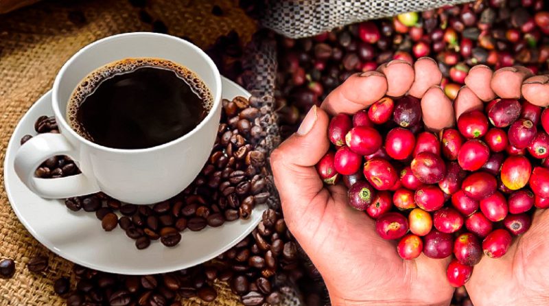Café peruano: ¿Por qué es tan importante en nuestra economía?