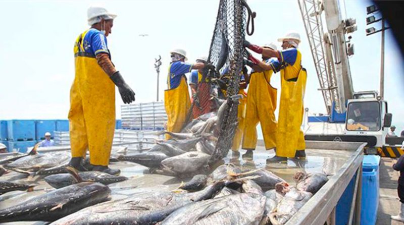 Exportación de pesca no tradicional cayó 43,26% a mayo