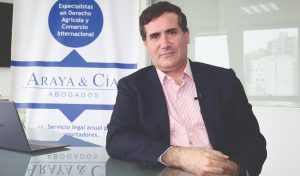 Araya & Cía. Abogados inaugura oficina en Medellín, Colombia