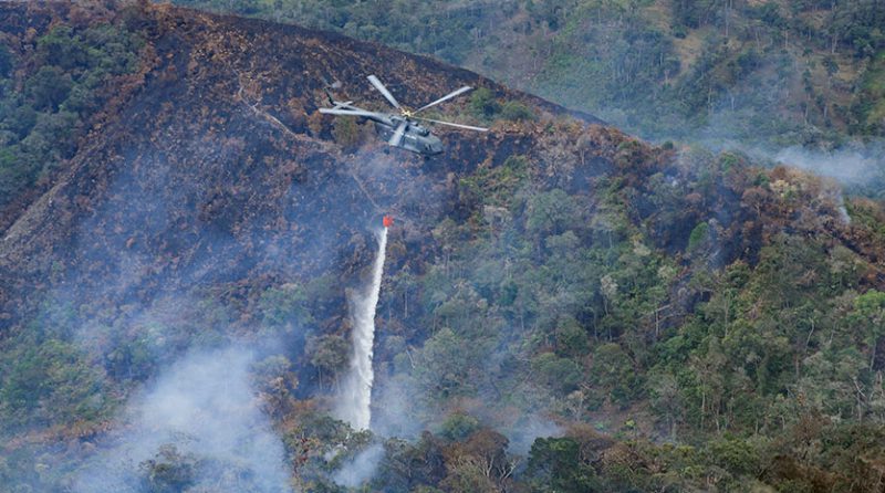 Incendios forestales en el Perú: ¿Cuál es su origen y qué medidas tomar?