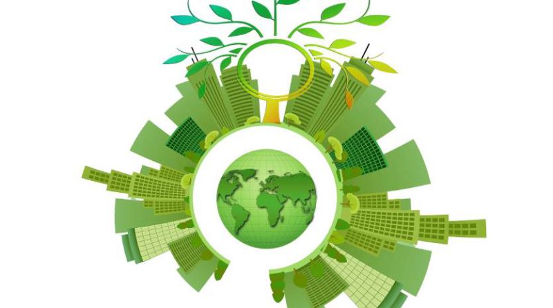 Economía Verde en Perú: Oportunidades de Negocio Sostenible