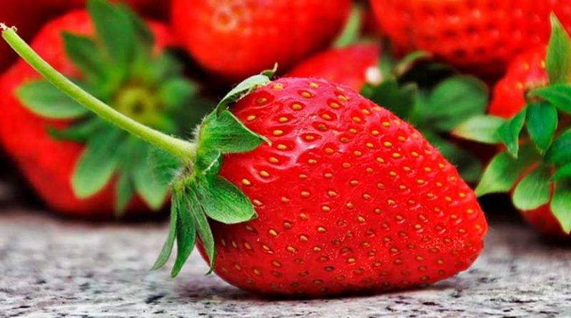 Las frutas que te ayudarán a tener buena memoria