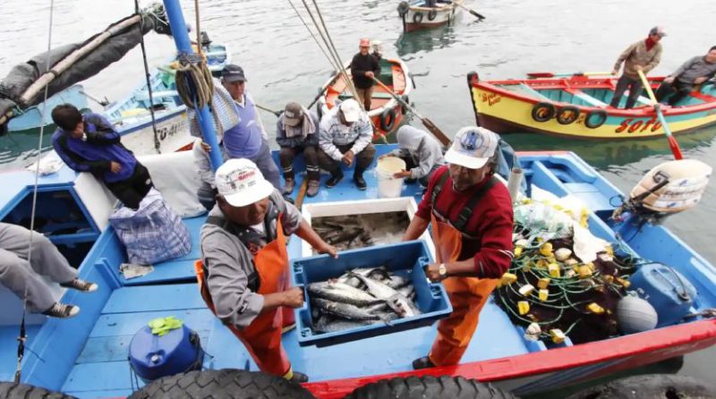 ¿Cómo le va al sector de pesca tradicional?
